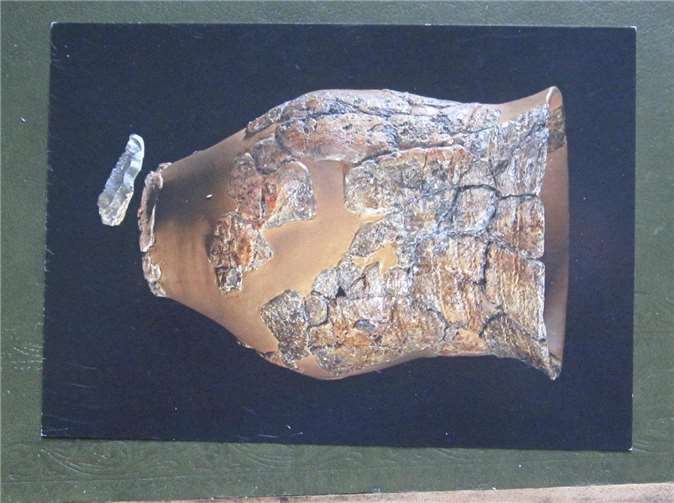 Außergewöhnliche Grabfunde2800 – 2500 v. Chr.Fundort: Euskirchen-GroßbüllesheimLVR Landesmuseum BonnFoto: J. Vogel