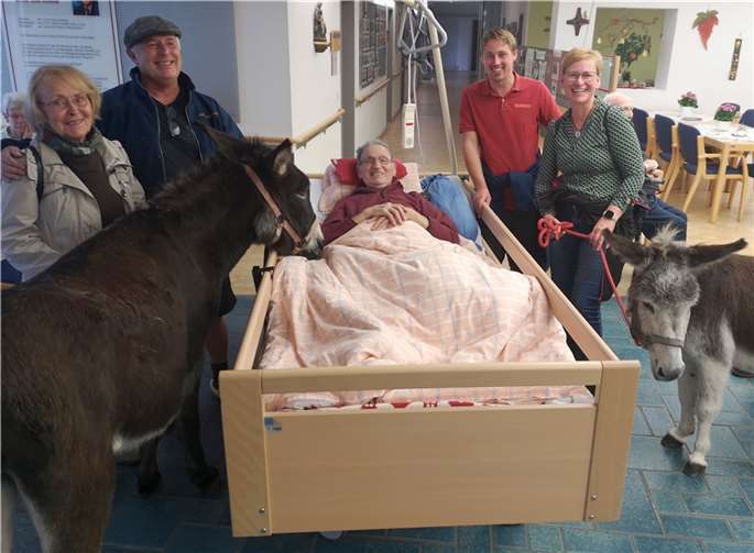 Außergewöhnlicher tierischer Überraschungsbesuch in der Altenzentrum-Sankt-Stephan-Stiftung. Von links: Esel Pepper, Marianne Bach, Hans Signer, Peter Bach, Tierpfleger Remco, Gerline Bach, Esel Rosa. Foto: Altenzentrum-Sankt-Stephan-Stiftung