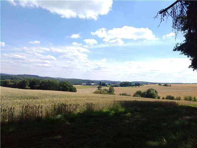 Aussicht von der Bank an der Iserbachschleife.  Foto: privat