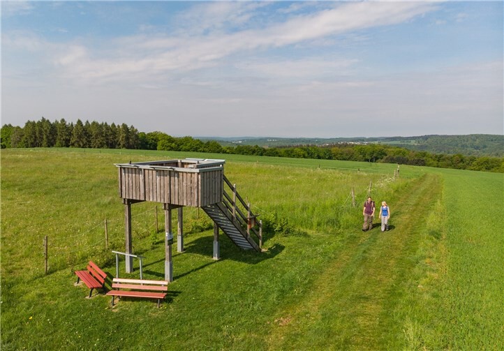 Aussichtskanzel an der Iserbachschleife. Foto: Andreas Pacek / Touristik-Verband Wiedtal e.V.