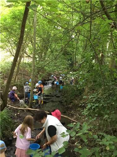 BHAG-Projektleiterin Maria-Elisabeth Loevenich mit den Schlauen Füchsen am Breitbach. Foto: Tanja Braun