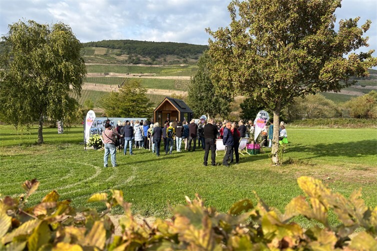 BUGA-Roadshow 2025 in Bingen