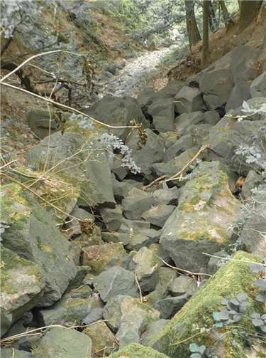 Bachlauf ohne Bach - bald auch in Unkelbach? Hier der Bachemer Bach in Ramersbach.Foto: privat