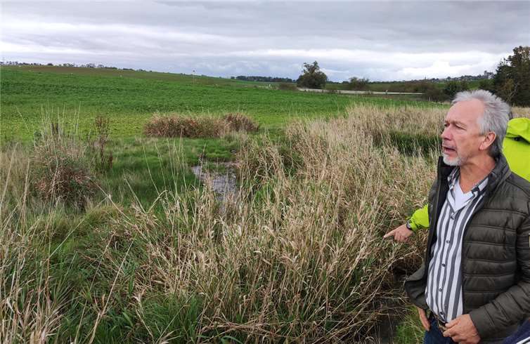 Bachpate Gavin Grosvenor zeigt, wie schnell sich der Bach auf den angekauften Randstreifen ein neues Bett sucht und sich selbst regeneriert. Für Ufertiere wertvolles Röhricht ist gewachsen, wo nicht mehr gemäht wird.