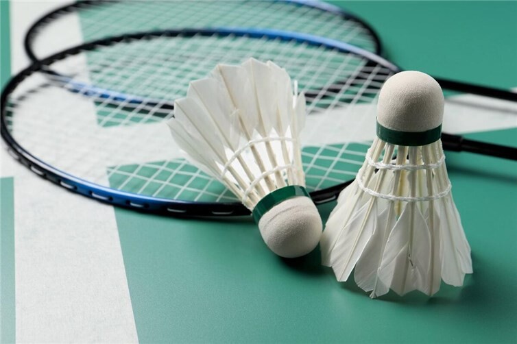 Badminton bei der CTG Koblenz