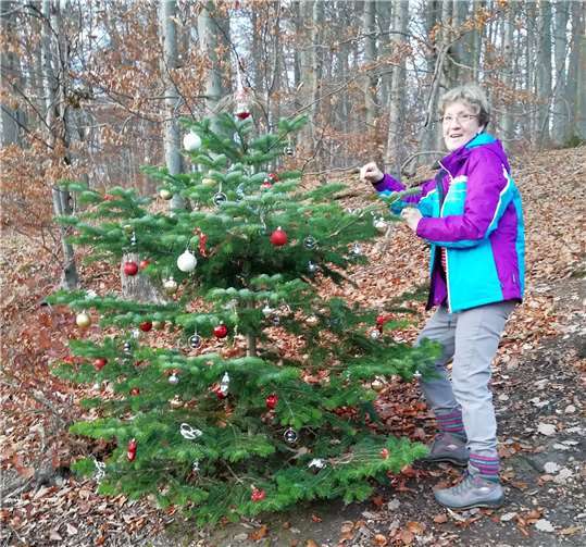 Bärbel verleiht dem Bäumchen seinen weihnachtlichen Glanz. Foto: privat
