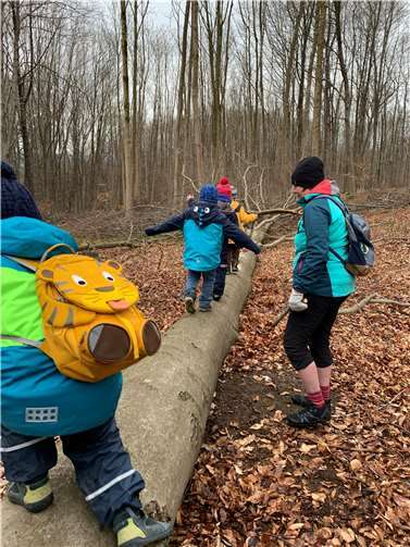Bäume erkennen und mit ihnen musizieren, das lernten vor kurzem sowohl Kinder als auch ihre Familien am Hochkreuz in Andernach. Foto: privat
