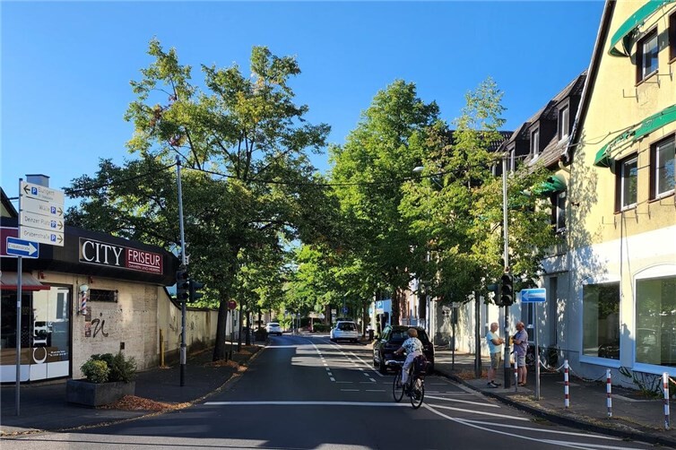 Bäume in der Löherstraße als Hitzeschutz.
