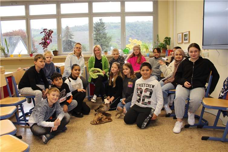Bald reif für die Rückkehr in die Natur: Igel Mucki wurde von den freiwilligen Tierhelfern gut versorgt.  Quellen: Realschule plus und FOS Untermosel