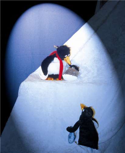 Balduin der Pinguin erlebt auf seiner Reise zum Südpol viele Abenteuer. privat