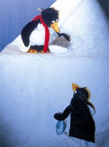 „Balduin der Pinguin“ ist ein fantasievolles, witziges und anrührendes Kindertheater für Kinder ab vier Jahren. Foto: privat