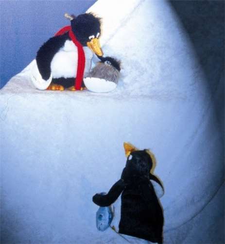 „Balduin der Pinguin“ ist ein fantasievolles, witziges und anrührendes Theaterstück für Kinder und theaterbegeisterte Erwachsene. Foto: privat