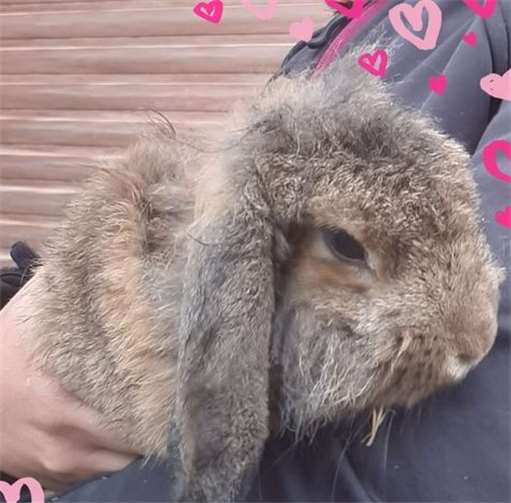 Batzko.Fotos: privat