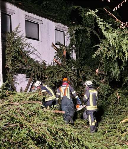 Starke Sturmschäden in Mehlem, Rüngsdorf und Bad Godesberg Baum auf Reihenhäusern an der Kopernikusstraße.