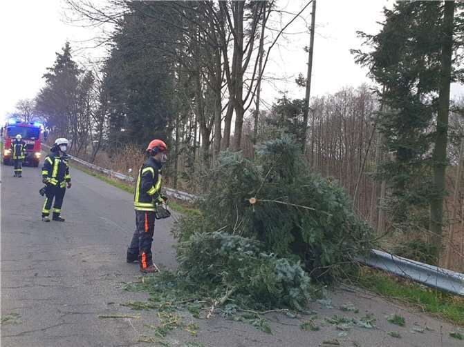 Baum auf dfile:///C:/Users/drobbel/Downloads/IMG_9709.jpger Kochenbacher Straße. Foto: Feuerwehr Bad Honnef