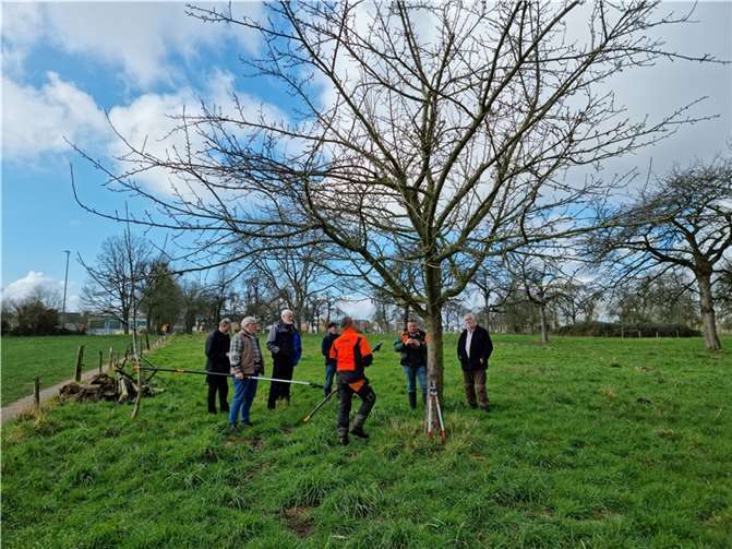 Baumschnittkurs mit der Firma Baumpflege Firma Wirges. Fotos: privat