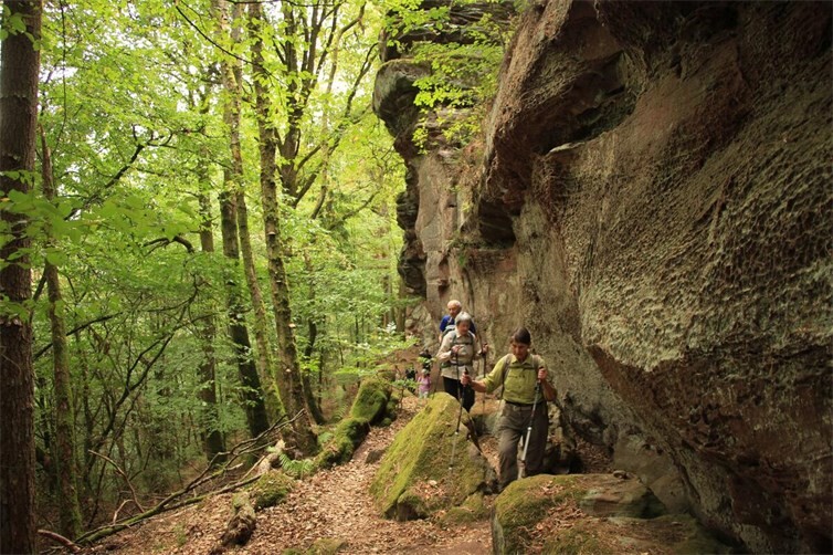 Beeindruckende Felsenformationen und herausfordernde Wanderwege im Dahner Felsenland 