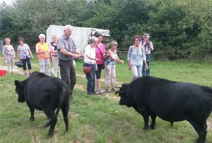 Beeindruckt waren die Damen von den Rindern der kleinwüchsigen Dahomey-Rasse.