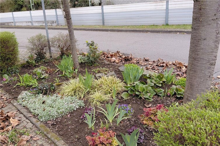 Beet Ecke Oelbergstraße/Johannes-Haw-Straße