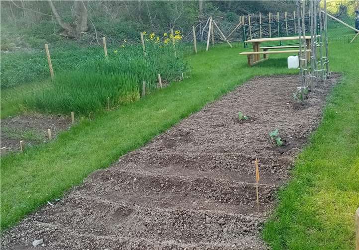 Beete mit verschiedenen Sämereien wurden angelegt. Fotos: privat