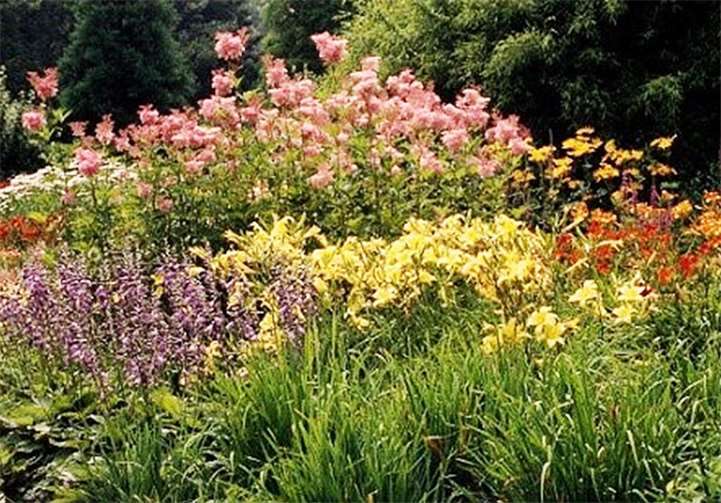 Beete und Wiesen für Insekten sollen entstehen.Foto: Stadt Neuwied