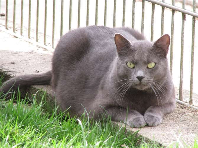 Beetlejuice. Foto: privatÄ