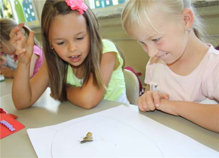 Begeistert schauen die Kinder den Schnecken beim Kriechen zu. privat