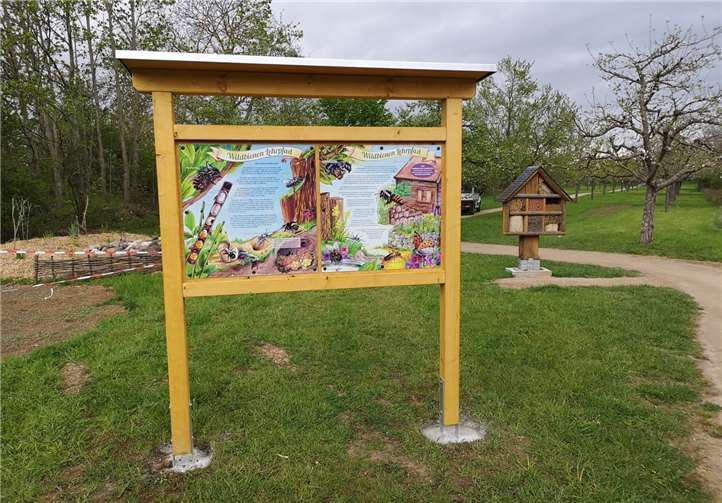 Beginn des Wildbienen-Lehrpfades im Örmser Ring.Quelle: Ortsgemeinde Urmitz