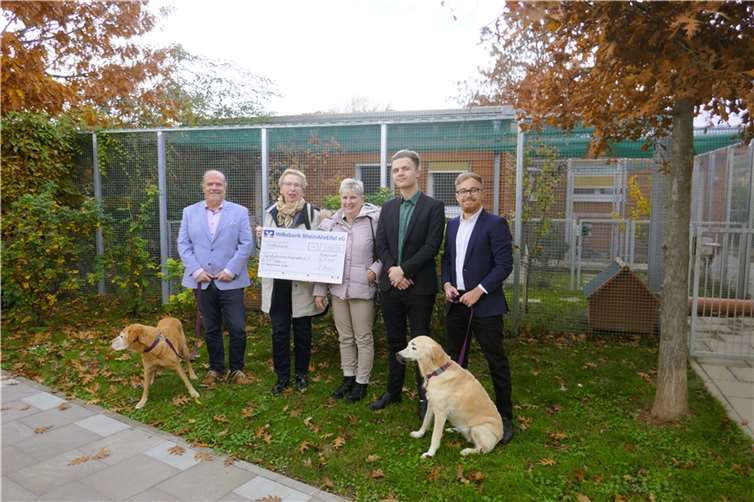 Begleitet von ihren beiden Labradorhündinnen und ihrer Familie, besuchte Frau Zester das Tierheim, um den Scheck persönlich zu überreichen. Foto: privat