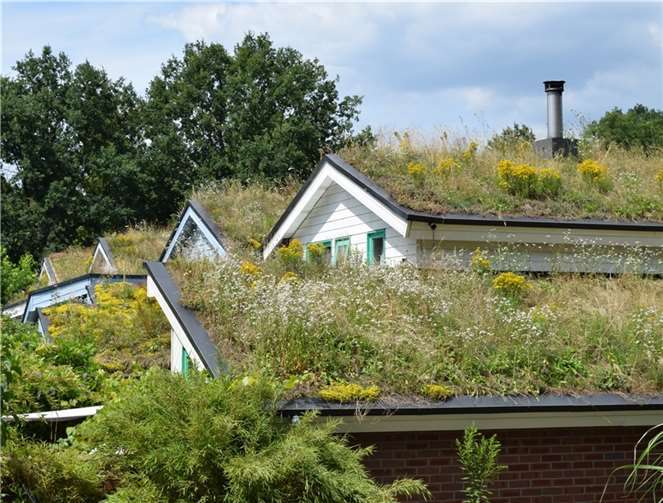 Begrünte Dächer und Fassaden helfen, die negativen Folgen des Klimawandels zu reduzieren. Foto: Bundesverband GebäudeGrün e.V.