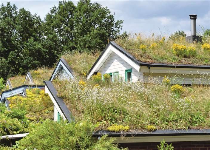 Begrünte Dächer und Fassaden helfen, die negativen Folgen des Klimawandels zu reduzieren. Foto: Kreisverwaltung Mayen-Koblenz