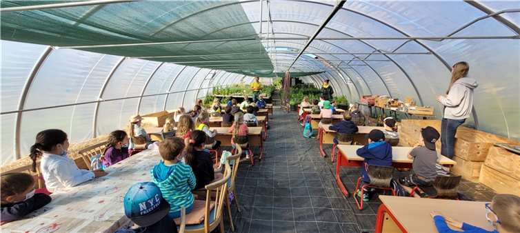 Begrüßung der Frosch- und Hundeklasse durch Hernn Zimmermann und seine Schwester im Gätnereiklassenzimmer.  Foto: Grundschule am Blauen See
