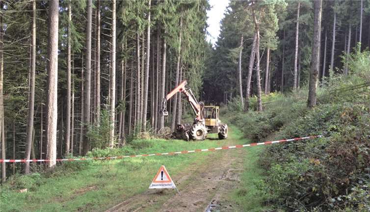 Bei Bauarbeiten wird das entsprechende Waldgebiet gut sichtbar mit Flatterband und Hinweisschildern abgesperrt. Frank Hüllen, Landesforsten RLP