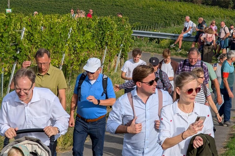 Bei Kaiserwetter marschierte die Wandergruppe durch die Weinberge.