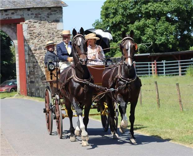Bei Kaiserwetter starteten 22 Pferdegespanne in fünf Minuten Abstand mit ihren toprestaurierten Kutschen in den Kottenforst auf die 17 km lange Picknick Tour. Foto: privat