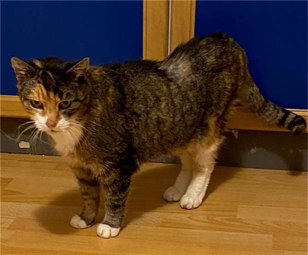 Bei Lilly läuft’s. Foto: privat