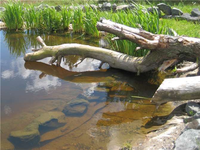 Bei Niedrigwasser sollte kein Wasser aus Bächen, Gräben, Flüssen, Seen und Teichen entnommen werden.  Foto: Kreisverwaltung
