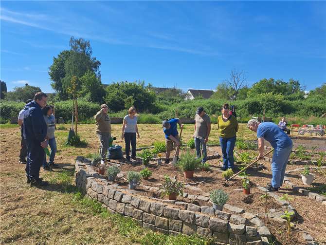 Bei bestem Wetter und guter Stimmung wurde der Kräutergarten gemeinsam neu angelegt.  Foto: Stadtverwaltung Sinzig