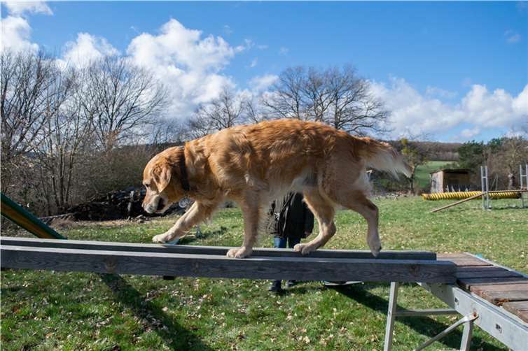 Bei dem Abschluss Ende Mai konnten die Teilnehmenden zeigen, was sie in der Zeit gelernt haben. Foto: privat