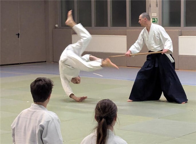 Bei dem Lehrgang wurden den Teilnehmenden viele neue Erkenntnisse vermittelt.  Foto: (c) Aikikai-Deutschland