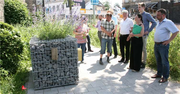 Bei dem Stadtrundgang entlang des „Bunten Bandes“wurden stets Hintergründe und Spezialitäten der Anpflanzungen erklärt.