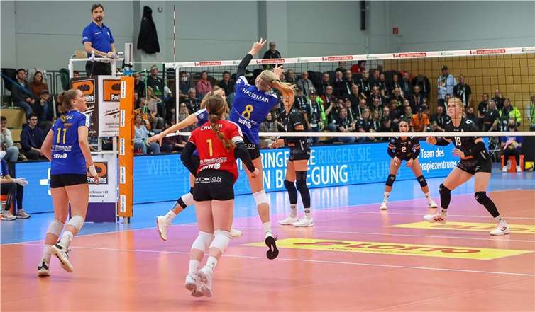 Bei den Deichstadtvolleys freut man sich wieder auf immunisierte und getestete Fans aus der Region. Foto: Jörg Niebergall