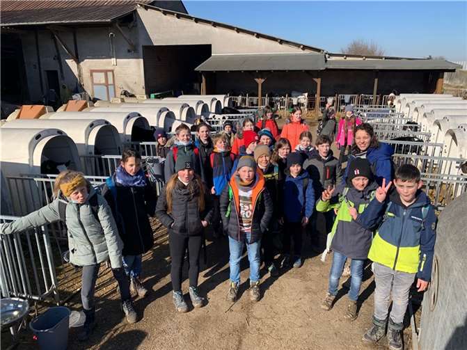 Bei den Kälbchen durfte ausgiebig gestreichelt und gefüttert werden.  Foto: KuBa