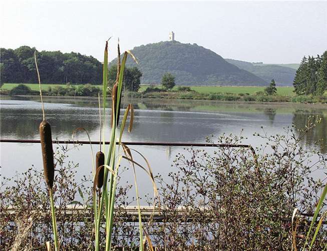 Bei den Maar-Erlebnis-Führungen erfahren die Gäste etwas über die abwechslungsreiche Geschichte des kleinen Gewässers und können einen Blick auf die nah gelegene Burg Olbrück werfen.