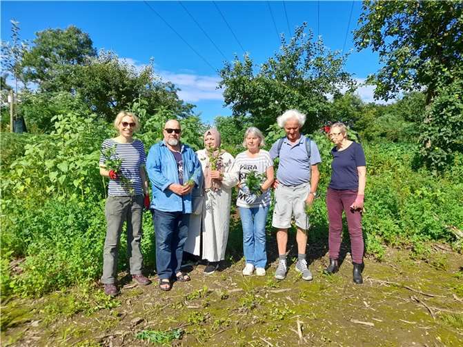 Bei den Treffen im Sinziger Gemeinschaftsgarten, hier am 10. Juli 2024, planen die Gärtnerinnen und Gärtner unter anderem gemeinsam, welche Projekte aktuell anstehen. Foto: Stadtverwaltung Sinzig