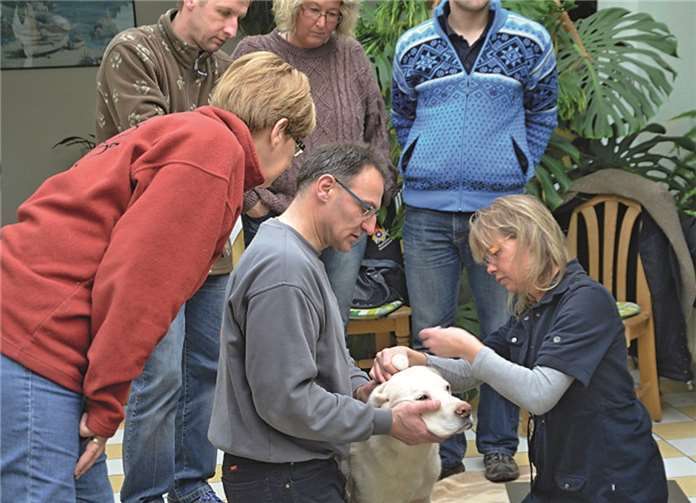 Bei den am Hund durchgeführten Rettungsmaßnahmen ist es wichtig, dass Hund und Hundeführer beide die Ruhe bewahren.privat