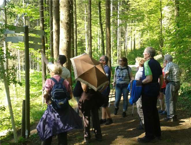 Bei den geführten Wanderungen gibt es immer viel Interessante zu entdecken.  Privat