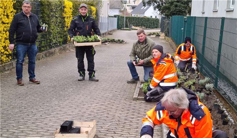 Bei der Arbeit: Ortsbürgermeister Walter Kill, Matthias Schneichel und Bernd Schumacher (von links) mit den Mitarbeitern des Bauhofes Kruft. Foto: privat