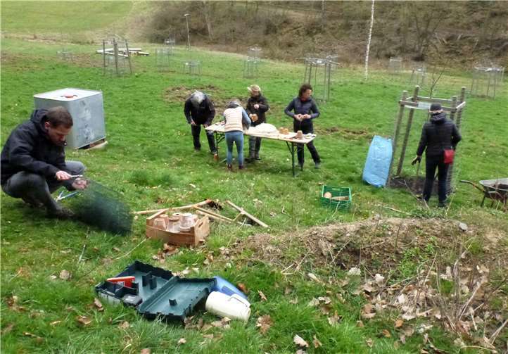 Bei der Arbeit auf der Streuobstwiese.