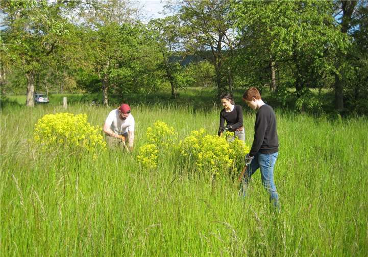 Bei der Arbeit.Copyright: Hans Speckter